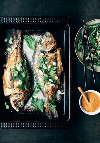 Dorade-met-rode-miso
